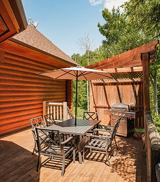 4 Cerf - Fiddler (13 of 18).jpg