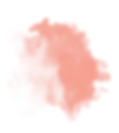 Sara_Carmona_1.png