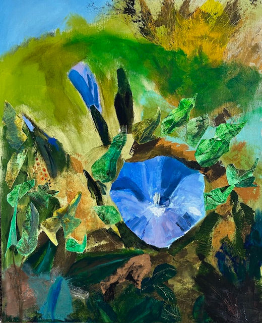 Trailside Morning Glory.jpeg