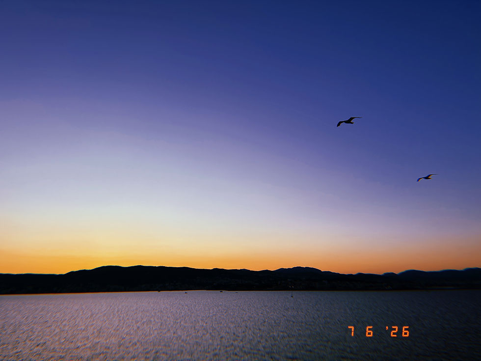 20260706_211627_043.JPG