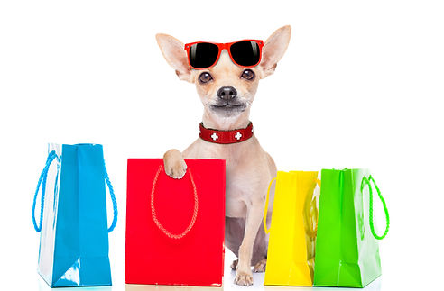Shopping Dog.jpg