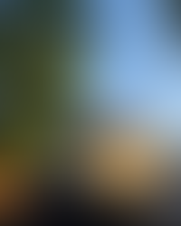 A two-story home with light-colored siding, partially shaded by a large leafy tree in the foreground. A black dumpster sits in front of the house, suggesting exterior renovation or roofing work. The roof appears worn, with visible wear near the peak. Power lines stretch across the sky.