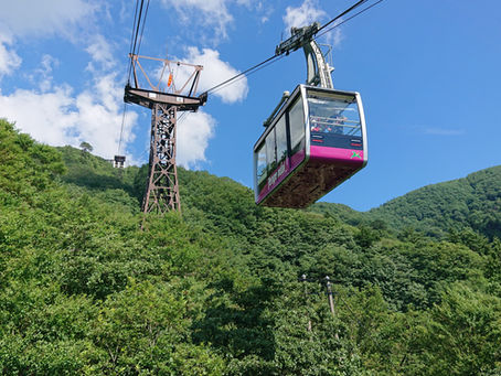 ロープウェイ ペット同伴乗車について