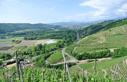 DSC_1269_WEB.jpg