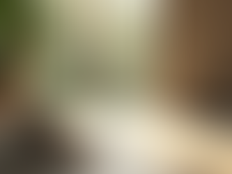 Exploring the Mind-Body Connection and Its Role in the Healing Process