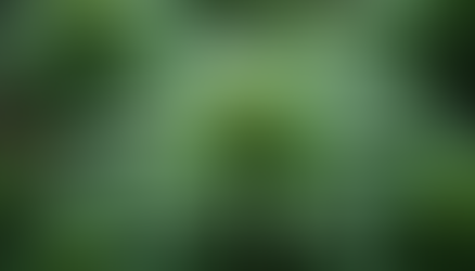 Exploring the Potential of Medical Marijuana for Mental Health Conditions