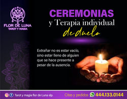 WhatsApp Image 2023-11-17 at 9.57.02 PM