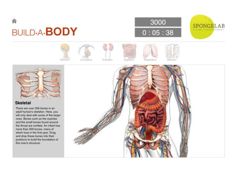 iPad App Build a Body