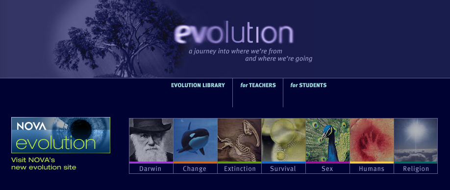 Evolution