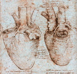 Da Vinci Clue for Heart Surgeon