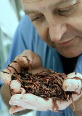 The Importance of Biodiversity