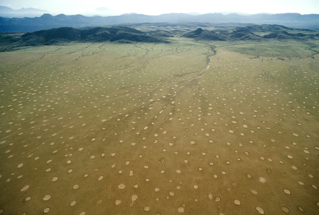Mysterious ‘Fairy Circles’ ...