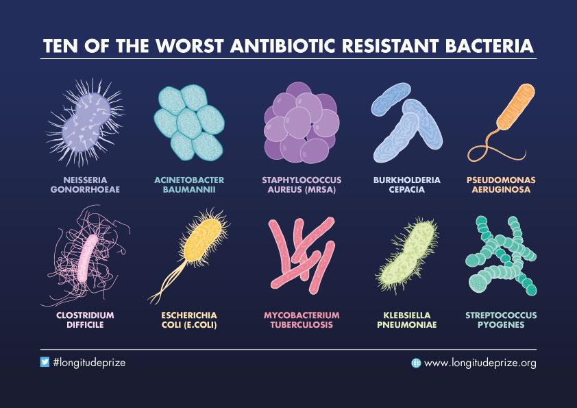 Antibiotic Resistant Bacteria