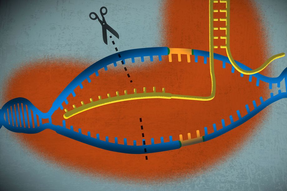 A simple guide to CRISPR