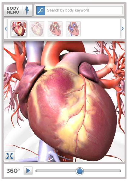 3D Models of the Human Body