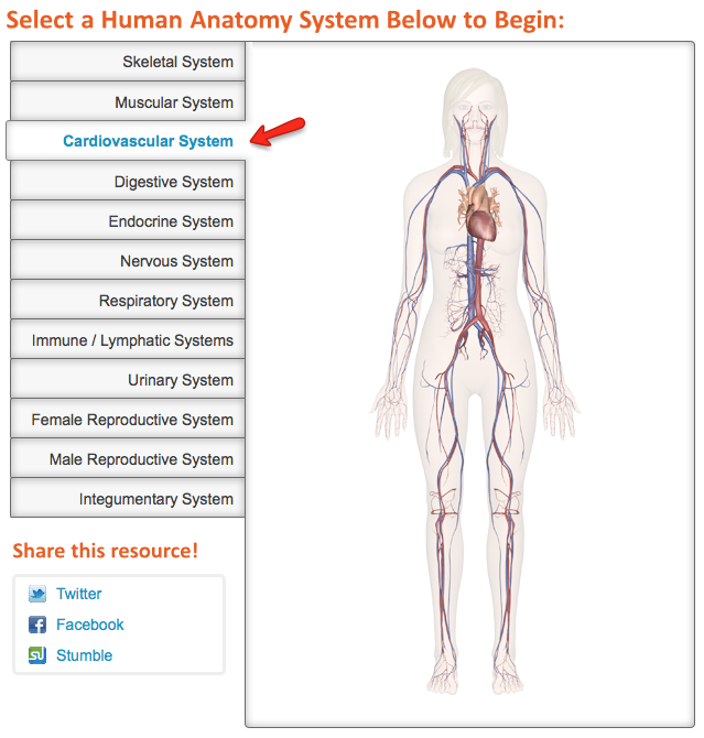 Human Anatomy: Explore the Body