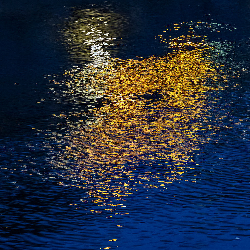 Paris Reflections
