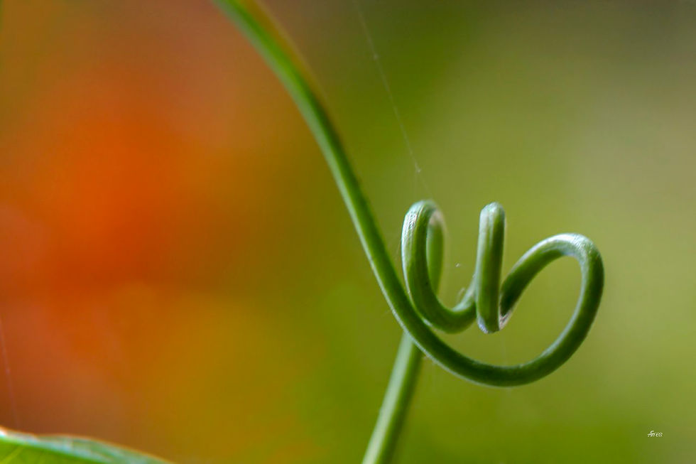 Connected