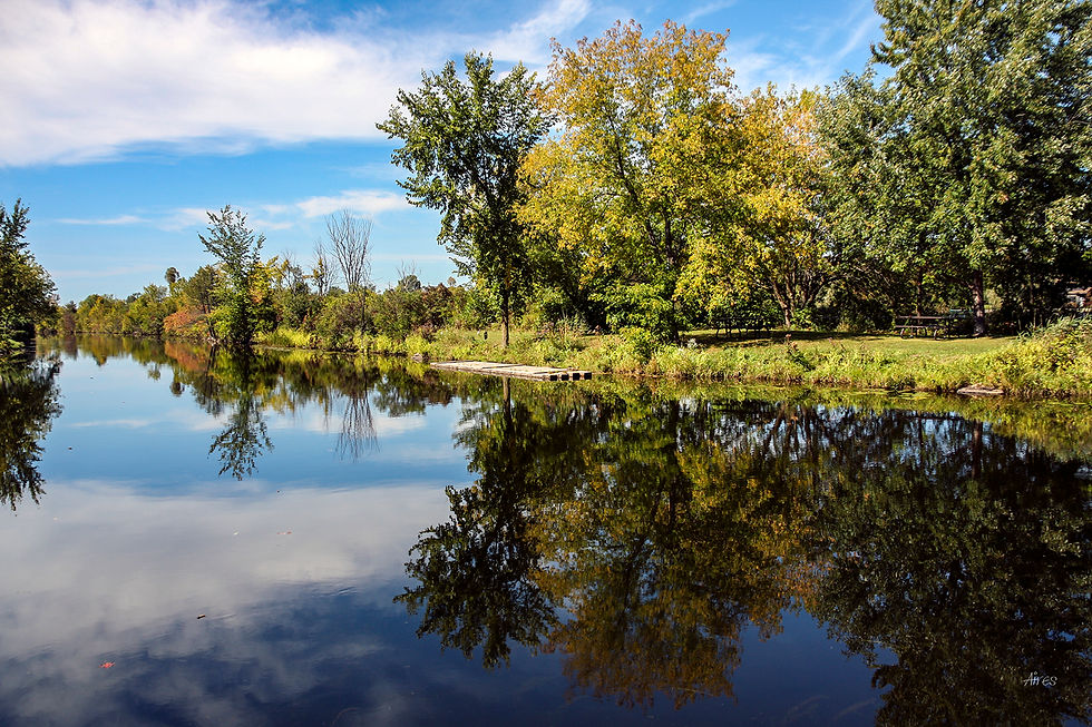 Reflections
