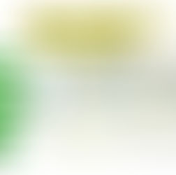 Nova carteira de identificação carteira de "identidade nacional" começou a ser emitida