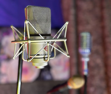 nuemann mic pic_edited.jpg