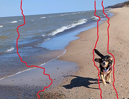 dog_seams.png