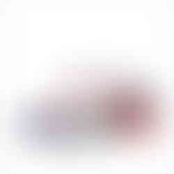 Nike Air Max 90 Raptors White Red Classic Casual Air Cushion Men Women Running