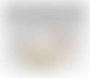 2024 Spring New Women's Tabby God Bag French Underarm Bag