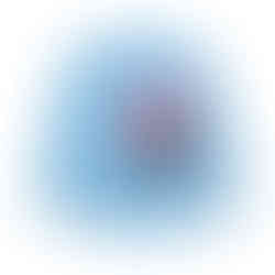 Midweight Softstyle Fleece Crewneck Sweatshirt (Dear special edition Male)