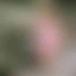 Toddler Girl Birthday Dress with Puff Sleeves and Embroidered Letters Smocked