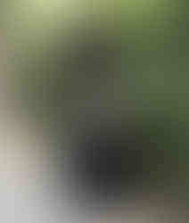 Gothic 2025 Summer Slim Lace Dress Women High Street Vintage Bow Thin Black Dres