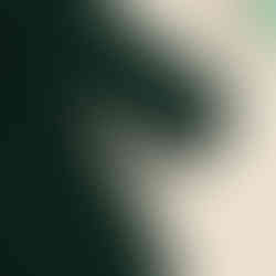 Toddler Girl Winter Outfit Warm Fleece Hoodie with Floral Leggings and Matching