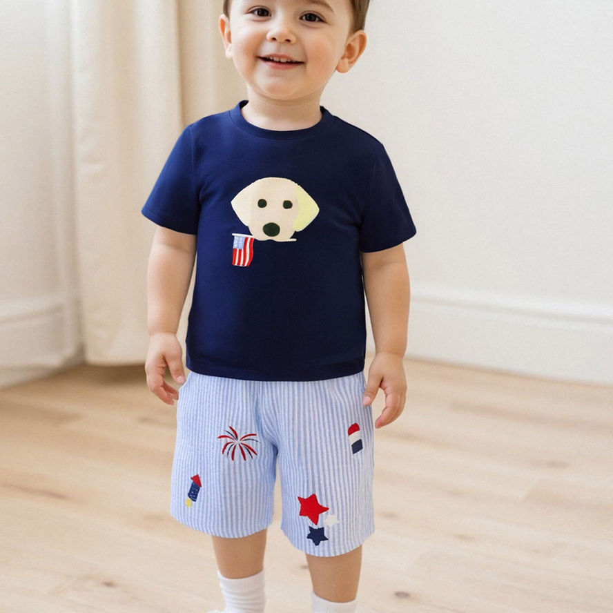 Toddler Boys American Flag Print Short Sleeve T-Shirt and Elastic Waist Star Str