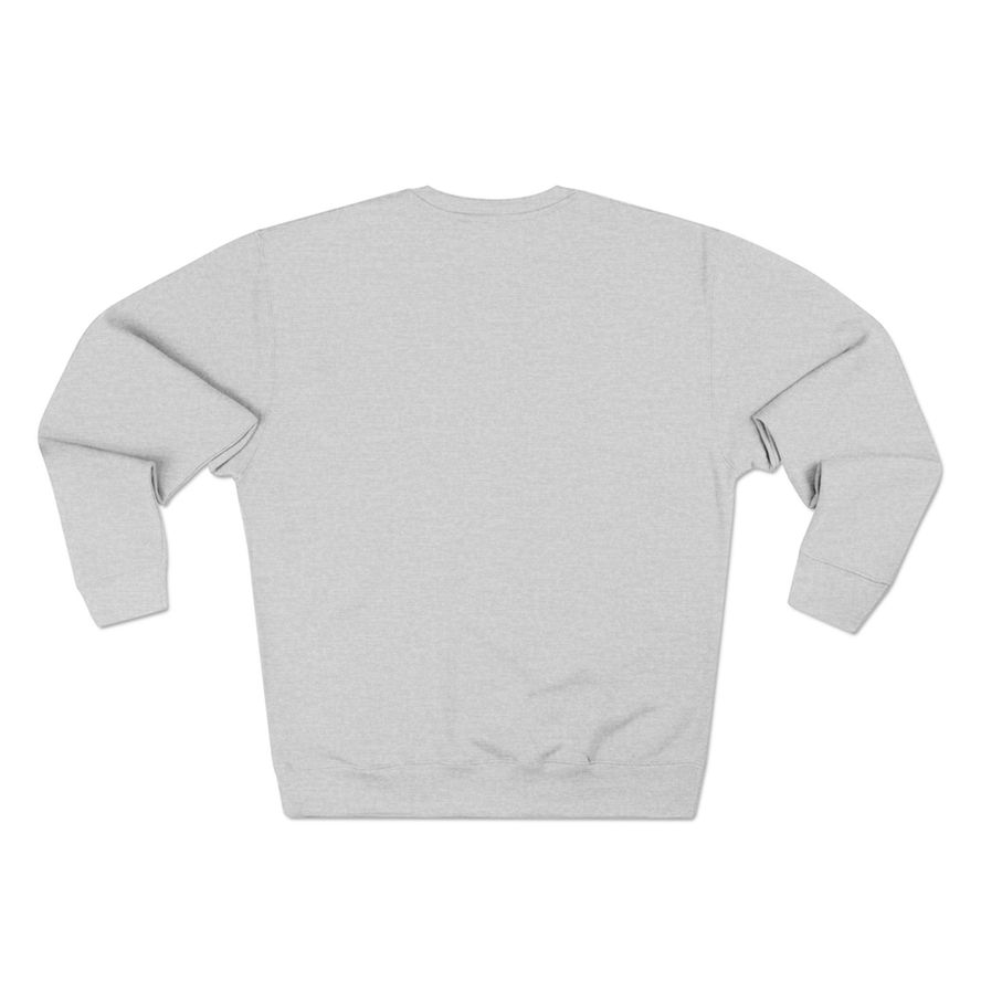 Men's light gray pullover hoodie