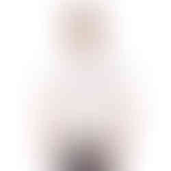 Men's Sport Polo Shirt (America)