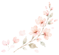 40.png