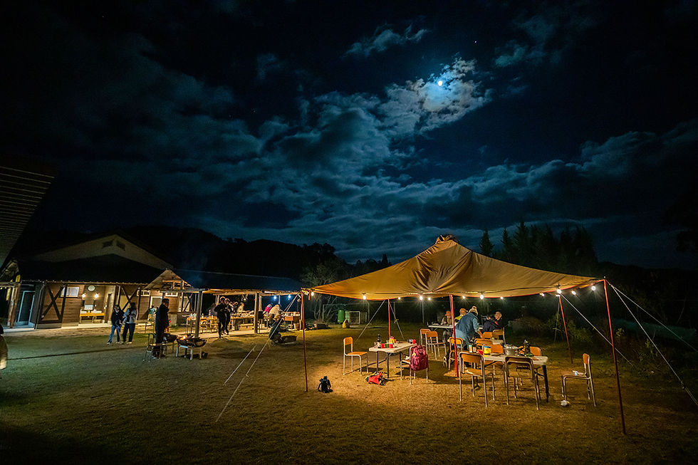 夜の里山探険!