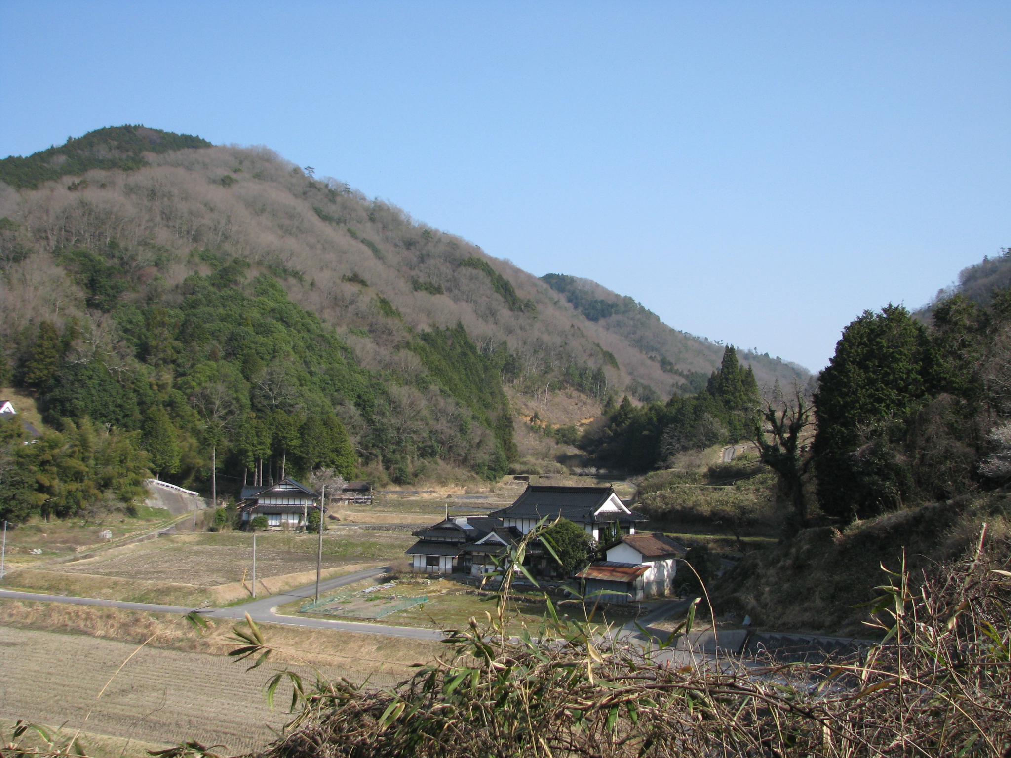 里の風景