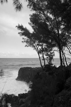 copyright © Photos Pierre RIFF