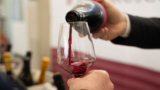 I Custodi del Lambrusco