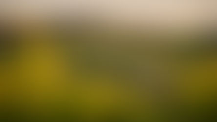 Come cambia il Chianti Classico