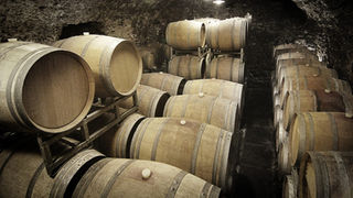 Marcel Zanolari: coltivare PIWI in Valtellina