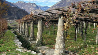 Pergola Caremese