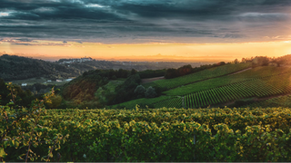 Gavi