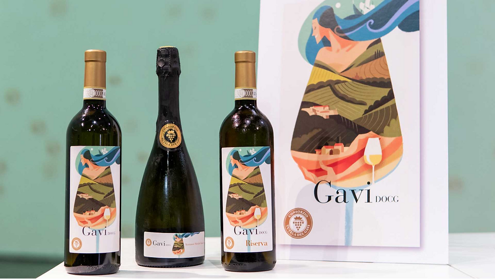 Gavi DOCG