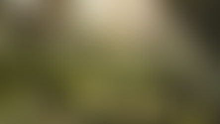 Ruffino vince il Drinks Business Green Award 2021