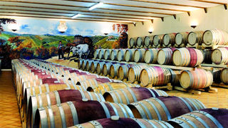 L'ampliamento sostenibile della cantina Il Conte Villa Prandone