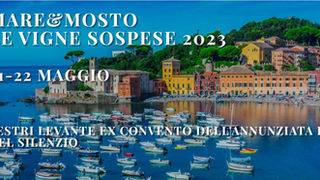 Mare&Mosto - Le Vigne Sospese edizione 2023