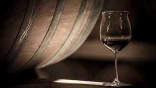 La Cantina Falezze si certifica Biologico