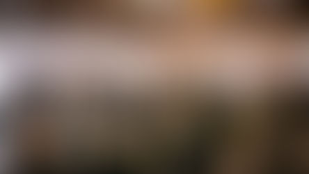 Torna ViniVeri Assisi 2023